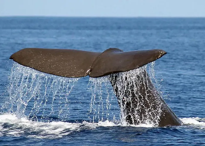 Ferienhaus Quinta D. Maria & Ines